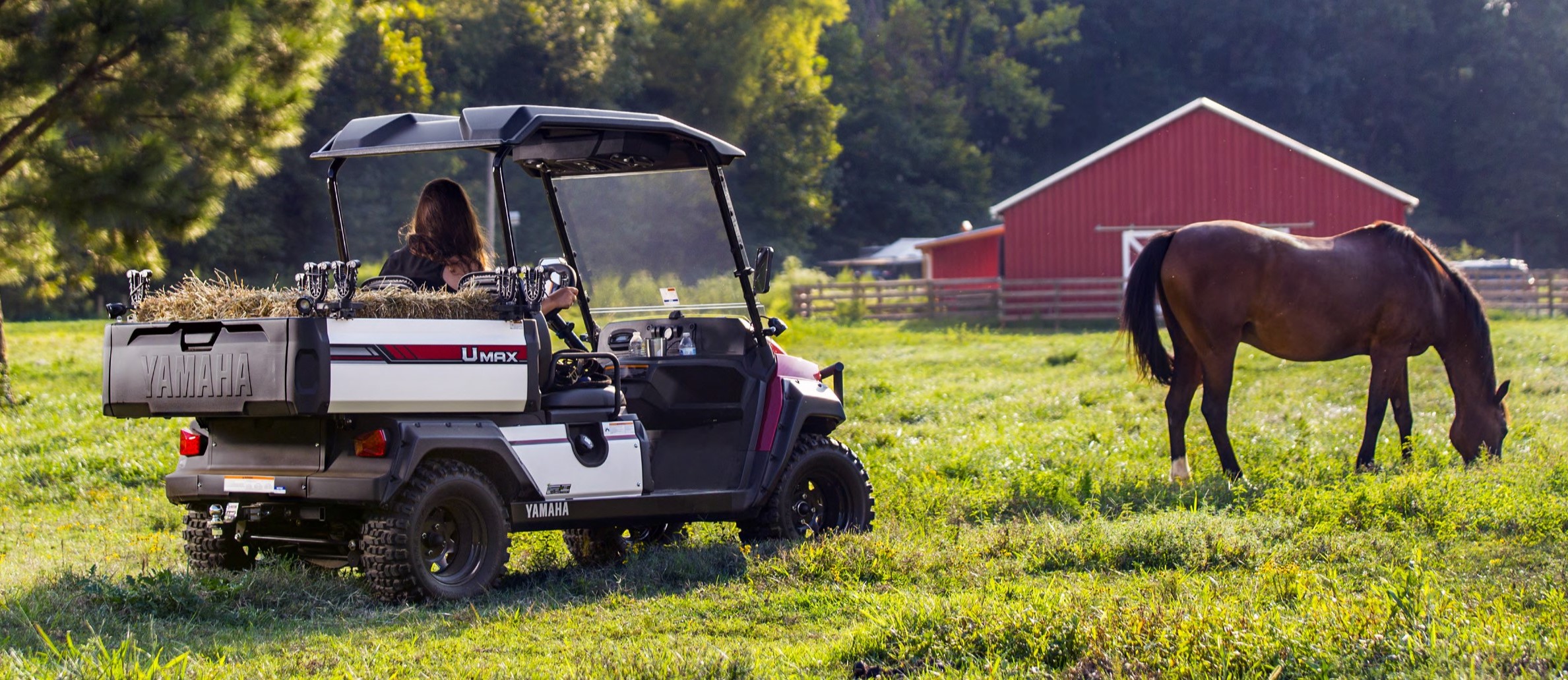 2023 Yamaha Golf Car Golf Cart for sale in Orlando Golf Cars, Orlando, Florida